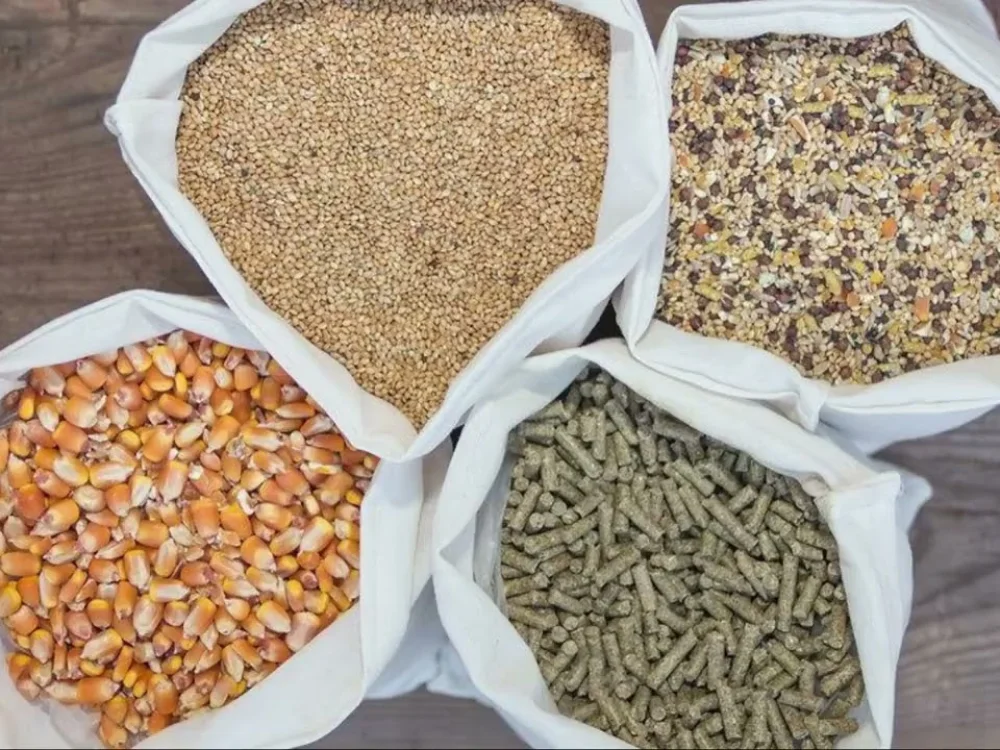 Livestock Feed