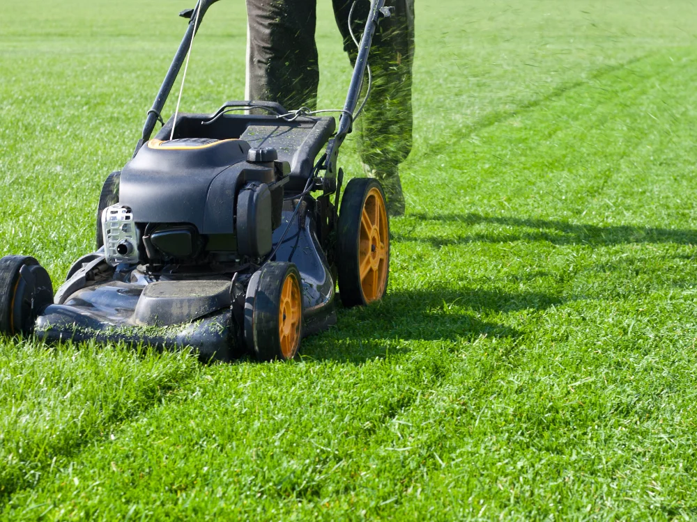 Lawn Mowers