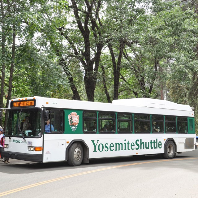 Shuttle Buses