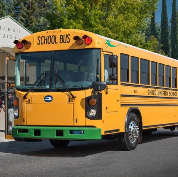 School Buses