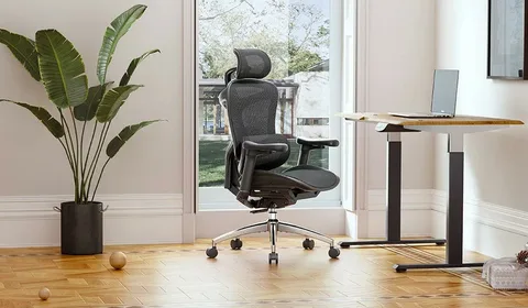 Ergonomic Chairs